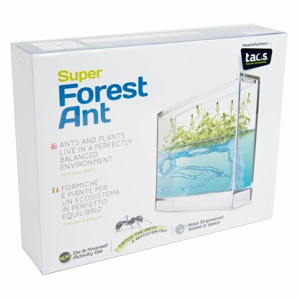 Antquarium Ant Farm Forest