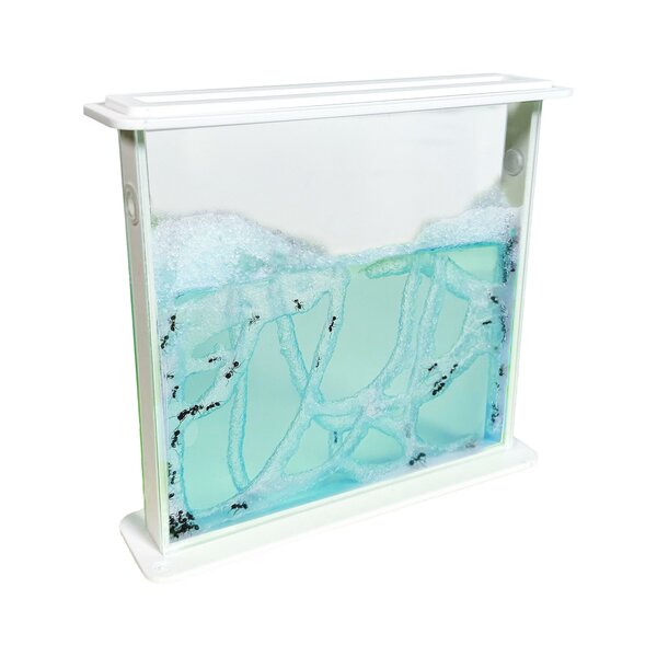 Ant's Kingdom Antfarm Gel