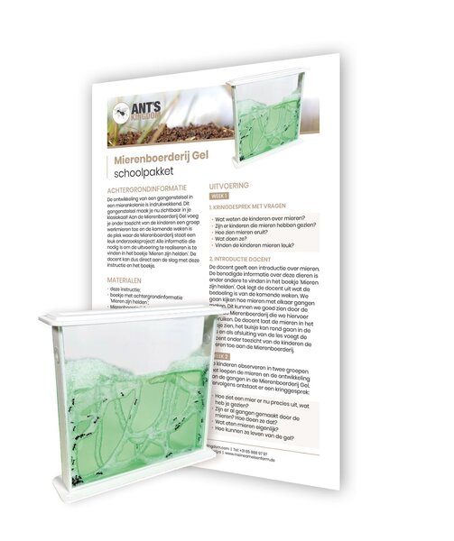 Antfarm Gel School Education set